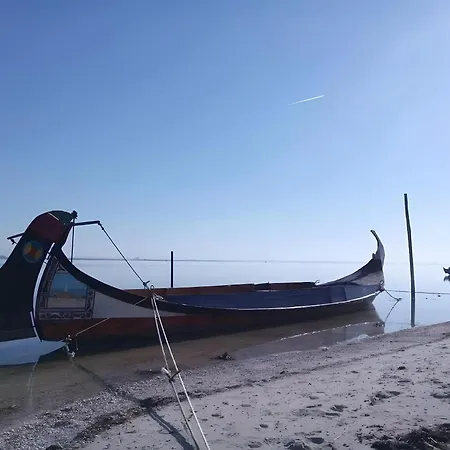 T2 Moliceiros Vista Ria *