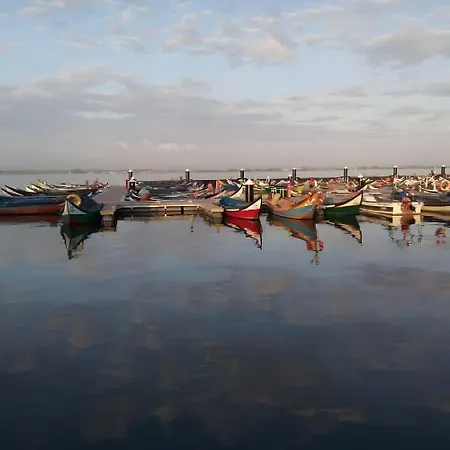 Lejlighed T2 Moliceiros Vista Ria *