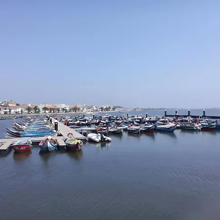 Lejlighed T2 Moliceiros Vista Ria Torreira