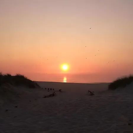 Apartment T2 Moliceiros Vista Ria