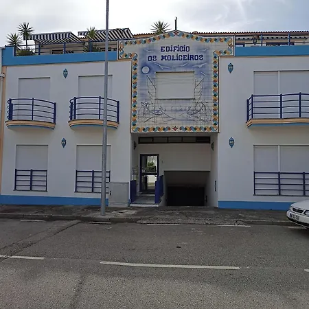 T2 Moliceiros Vista Ria Apartment *