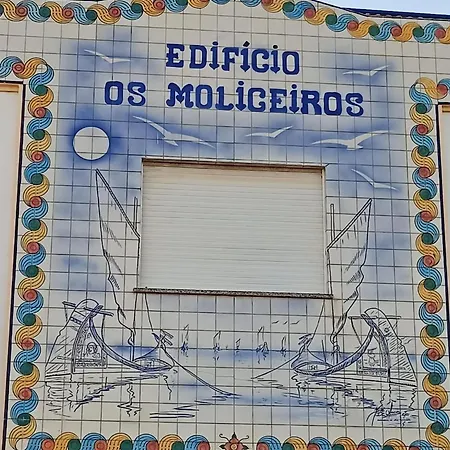 T2 Moliceiros Vista Ria טוריירה