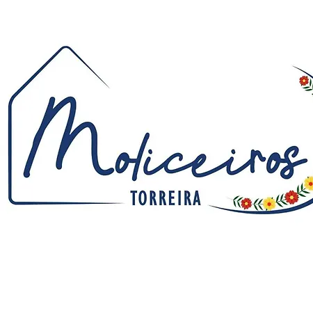 T2 Moliceiros Vista Ria Apartment