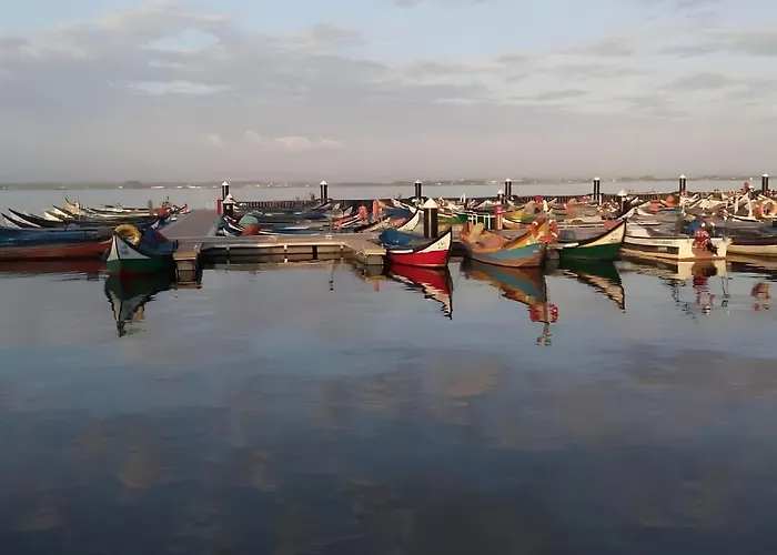 Appartement T2 Moliceiros Vista Ria *